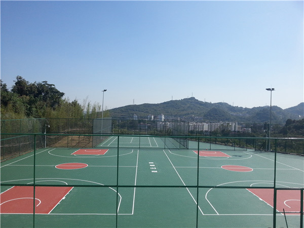 贵阳保利公园2010学校篮球场