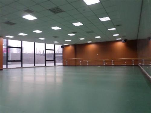 PVC地胶