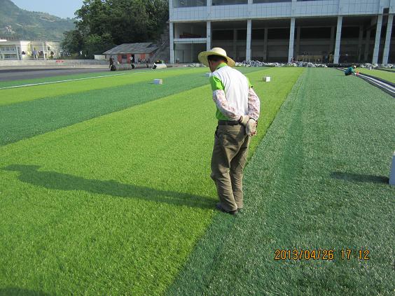 足球场人造草坪